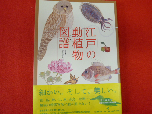 【江戸の動植物図譜】入荷！の画像